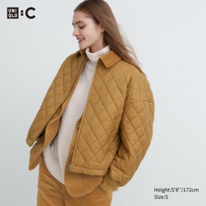 UNIQLO Warm Padded Blouson Kahverengi | 536-ALNBRV